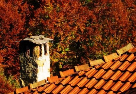 Autumn Roof - chimney, trees, photography, colors, forest, mountain, fall, roof, autumn, bulgaria