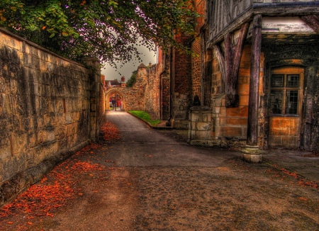 Autumn pathway