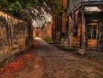 Autumn pathway