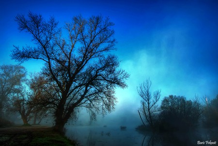 Blue Nature - picture, nature, cool, blue