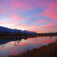 Pink Clouds