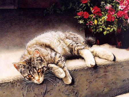 Cat resting - cat, rest, animal, flower, kitten