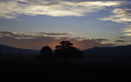 Tree at Dawn - clouds, hills, fields, rolling, beautiful, valley, dawn, nature, twilight