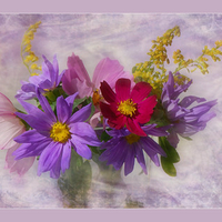 still life