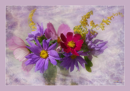 still life - beautiful, photography, photo, cool, flower, still life, bouquet, harmony, flowers, nice, gently