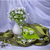 still life