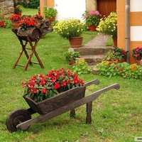 Backyard Flowers Garden