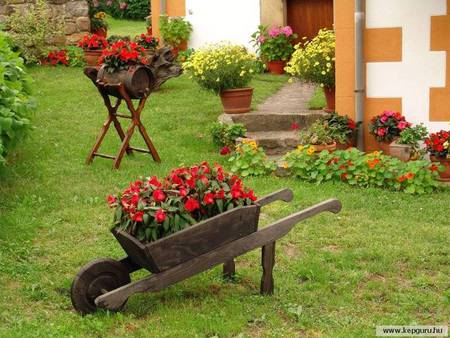 Backyard Flowers Garden - flowers pots, art photo, yellow, red, beautiful, flowers, backyard, grass