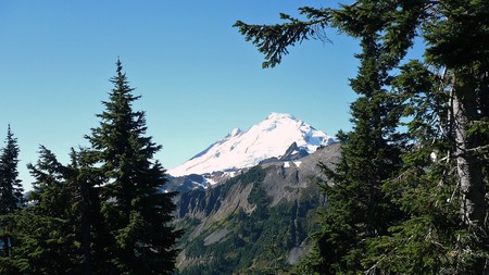 Mount Baker - trees, summer, rock, washington, mountain, sky