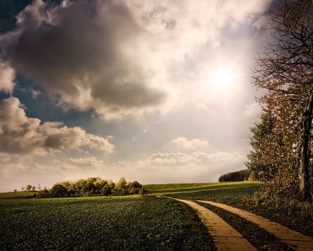 shiny morning - path, morning, shiny, nature, grass