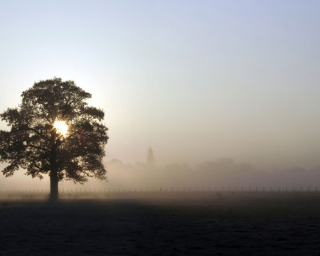 winter field - feel, winter, nice, field, cool, sun