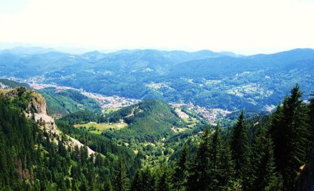 Mountain - forest, evergreen, photography, trees, mountain, bulgaria, green