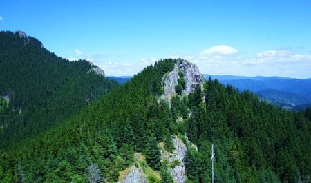 Evergreen Top - evergreen, trees, forest, photography, top, mountaain, bulgaria, rocks