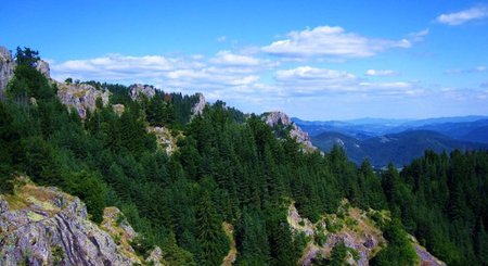 High in the Mountain - sky, trees, mountain, photography, bulgaria, rocks, evergreen, forest, clouds, green, high