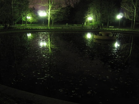 Night reflection - black, water, lily, psrk, dark, night, sofia, lake, reflection, light, photography, trees, bulgaria