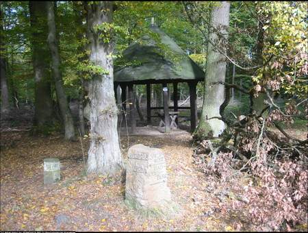 Take a break - trees, forests, places, bench, sesons, nature, green, leaves, stones, colors