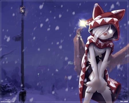 Christmas - cool, hat, cat, furry, snow, night, christmas