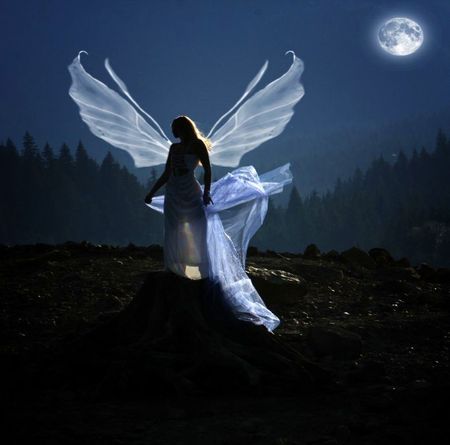 ANGEL AT NIGHT - angel, dark, walk, blue, night, moonlight, filed