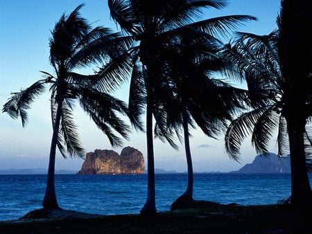 Fronds over Hai - sky, ocean, island, water, rock, fronds, tree, palm