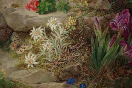 Growing Wild - reds, moss, leaves, stones, blues, flowers, irises, daisies, white, purple, butterfly, rocks