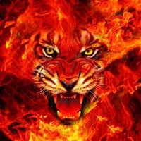 FIRE LION  KING