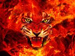 FIRE LION  KING