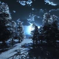 BLUE MOON FOREST