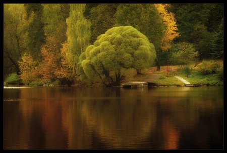 Autumn Reflection - trees, autumn fall, water, beautiful, art photo, reflection, park