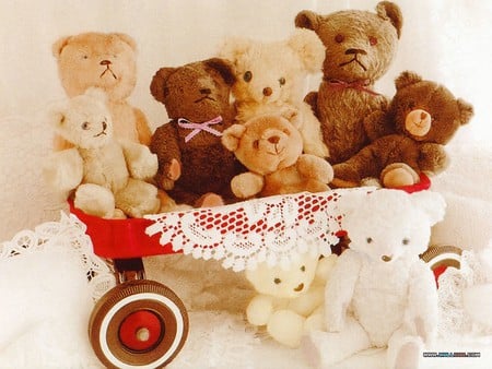 Teddy bear - toy, still life, teddy, bear