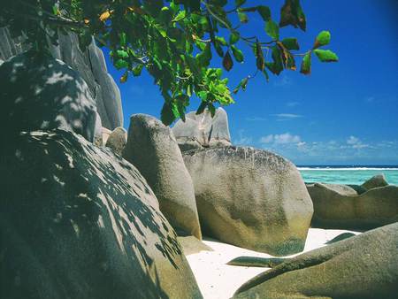 Beach Rocks - white, shade, sea, ocean, sand, tree, rocks