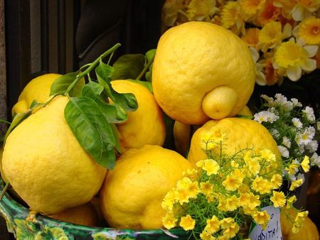 Lemon Colour - white, spray, yellow, bowl, lemons, flowers, fruit