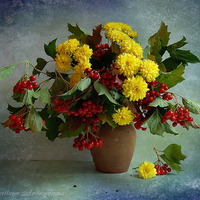 still life