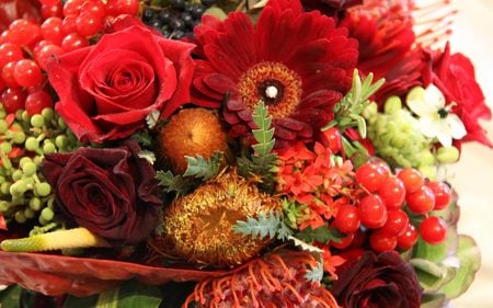 Mixed flowers - red, flower, nature, gerbera