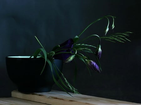 still life in blue - flowers, blue, beautiful, table, art photo, pot vase, still life