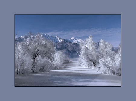 Winter beauty - trees, winter, snow, mountain, sky, way