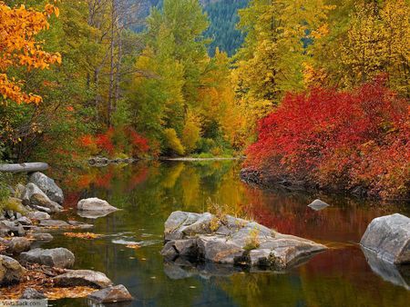 autumn river - river, water, yellow, autumn, red, rocks, woods