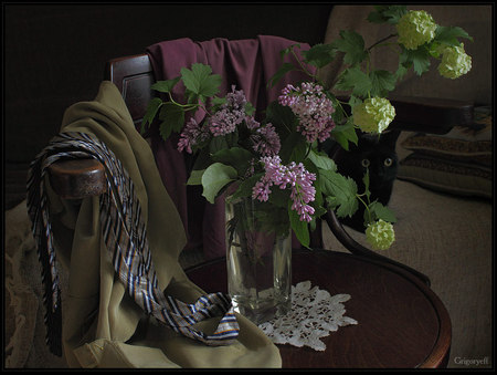 still life & cat - art photo, black, flowers, cat, glass vase, lilac, white, clouth, nice, chear