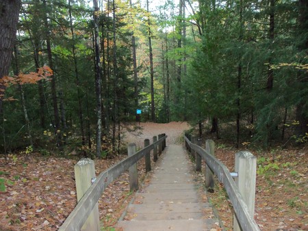 Dave's falls - bridges, country, architecture, woods