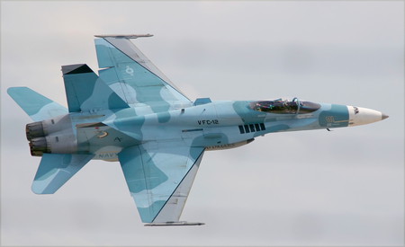 Hornet in Flanker Camouflage - fighter, usa, jet, flanker, russia, hornet