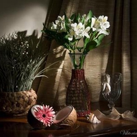 still life