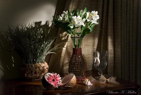 still life - elegantly, photo, flowers, shell, coconut, exotic, gerber, nice, vase, beautiful, photography, cool, still life, flower, bouquet, harmony, cup