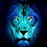 LION IN BLUE LIGHT