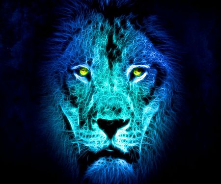 LION IN BLUE LIGHT - blue, lion, face, light, wild, life