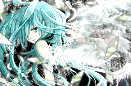 Hatsune Miku - nice, beauty, aqua, angel, wings, twintail, aqua hair, white, virtual, pretty, cool, idol, anime, miku, aqua eyes, cute, hatsune miku, feathers, girl, hatsune, vocaloids, vocaloid, blue, beautiful, awesome, contrast, diva