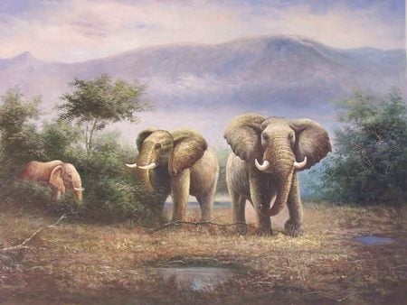 Magnificence - skin, trees, mother, mountains, babies, africa, elephants, wild, beautiful, fog, tusk, old