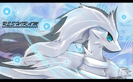 Download Night Zekrom And Day Reshiram Wallpaper