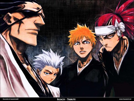 bleach - renji, ichigo, kinpachi, hitsugaya