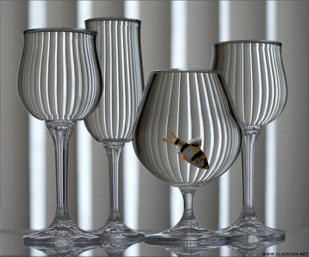 Still Life With Fish - glases, composition, nice art photo, goldfish, four, still life