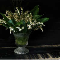 Still Life With Piano