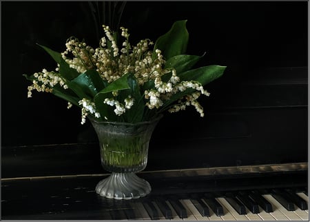 Still Life With Piano - white, nice, art photo, piano tastature, water, flowers, still life, glass vase